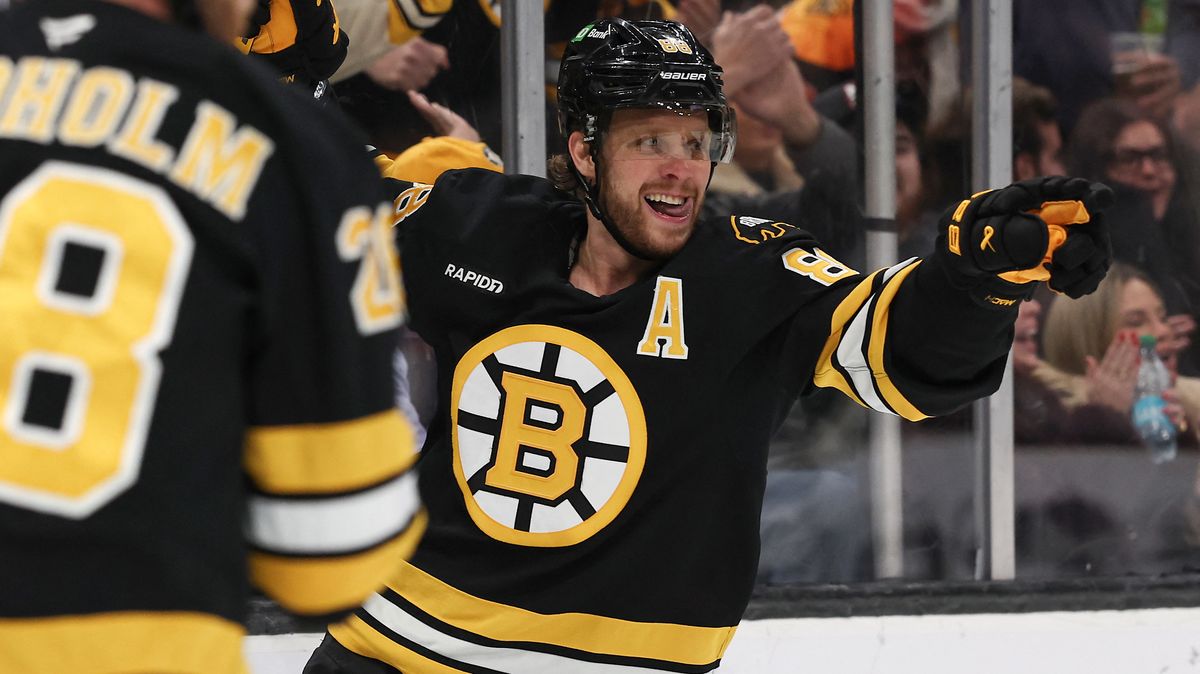 Pastrňák hvězdou při výhře Bostonu. Zářili i Nečas, Hertl a Dostál