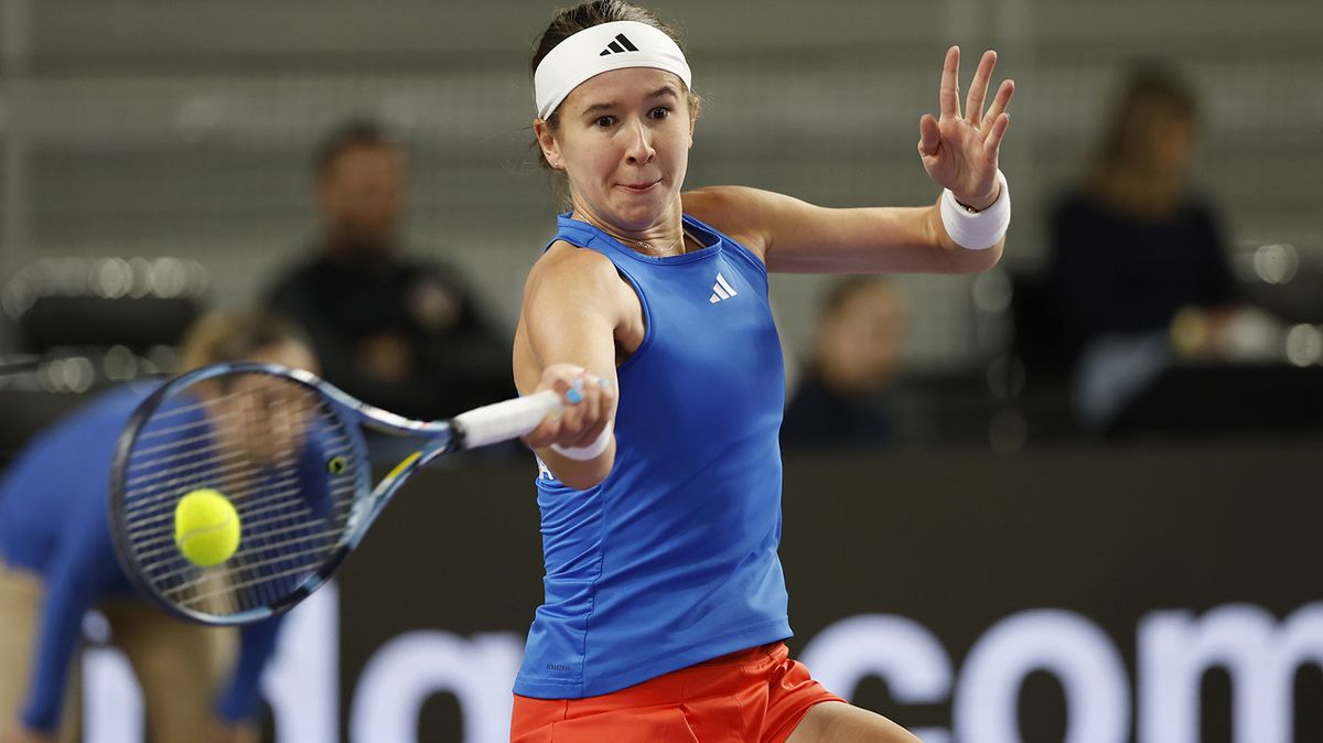 TENIS ONLINE: Češky bojují o záchranu! O první bod hraje Bartůňková