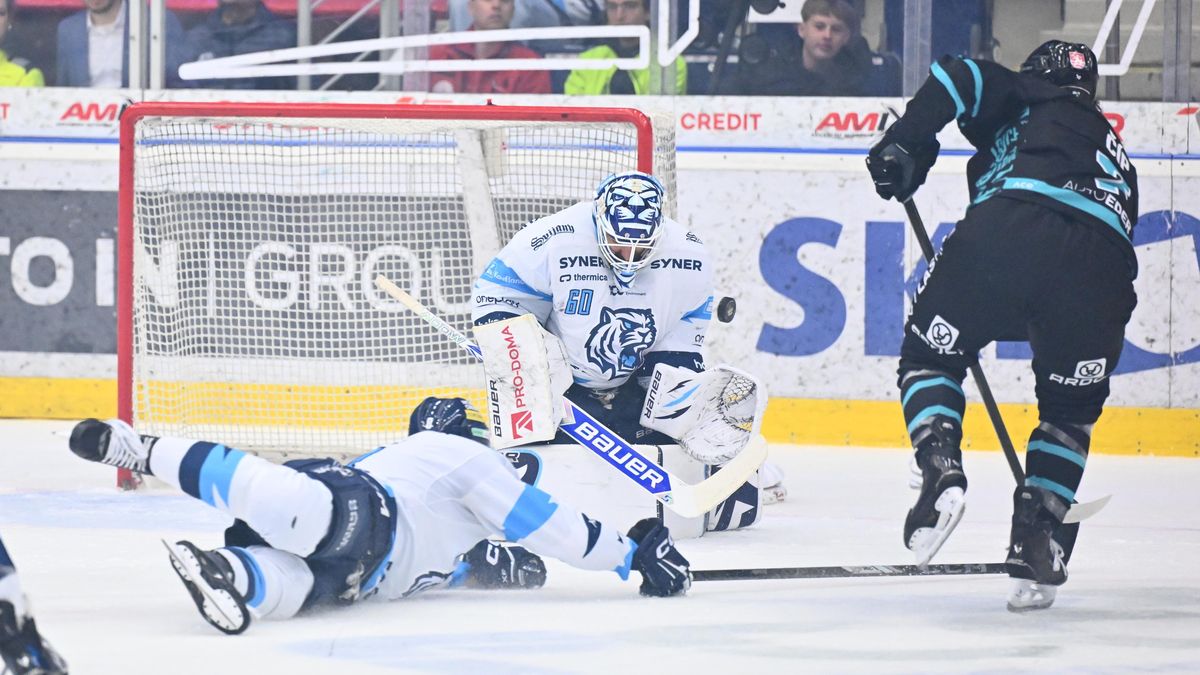 HOKEJ ONLINE: Videomomenty. Postup, nebo konec sezony. Vary už stihly v Liberci zahrozit