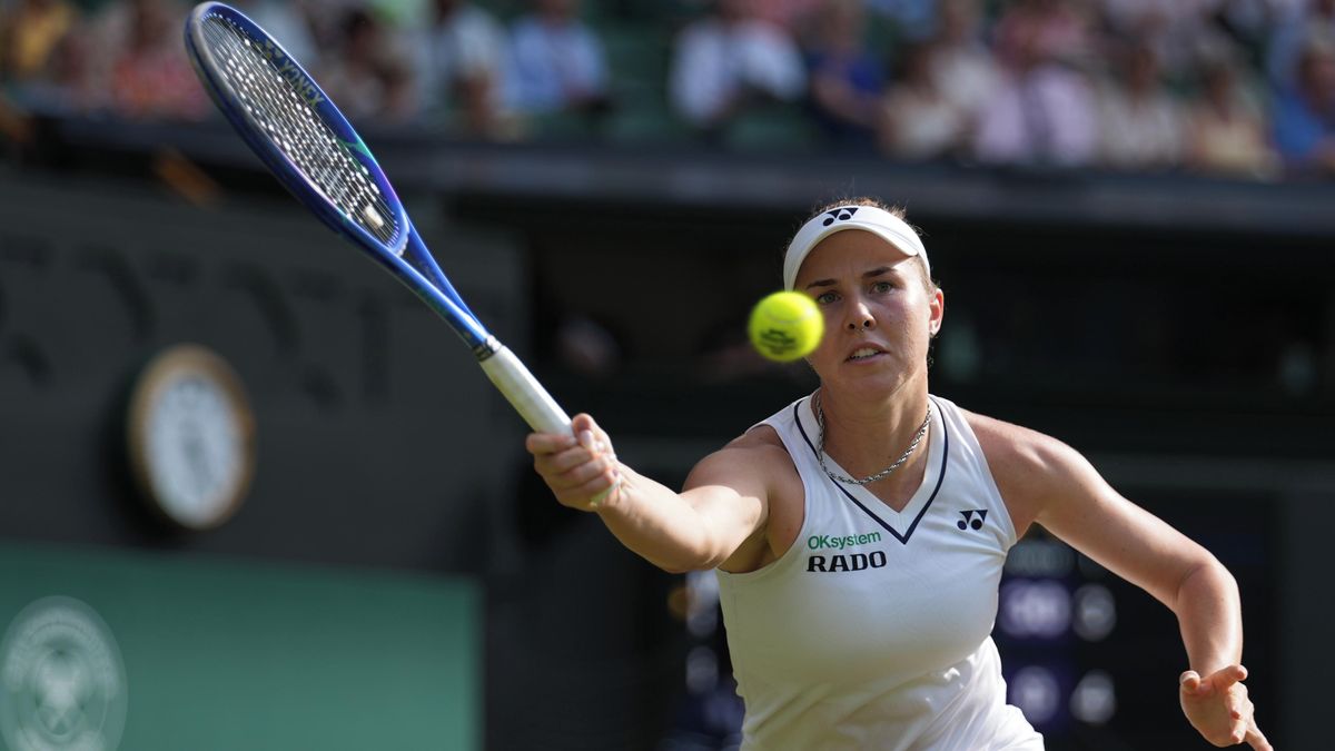 České finále ve Wimbledonu odvysílá volně dostupná televize