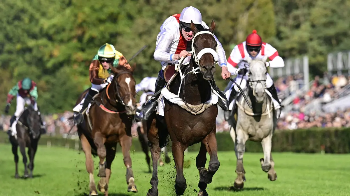 Útok na Váňův rekord ve Velké pardubické. Startovní pole nabízí i jedno pikantní spojení