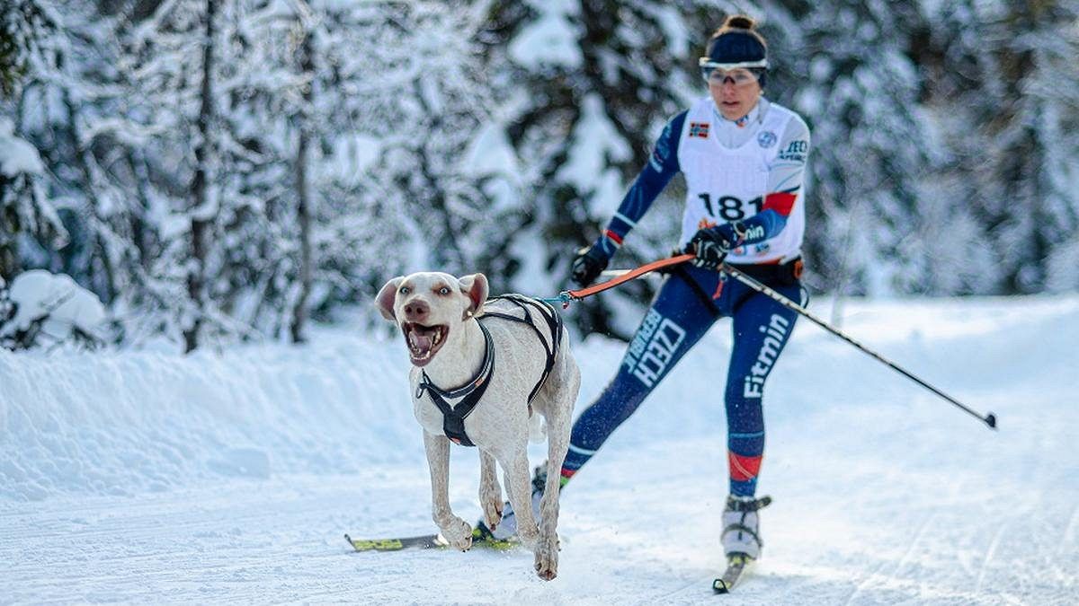 Trable v přípravě a improvizace. Češi stejně budou na MS bojovat o medaile