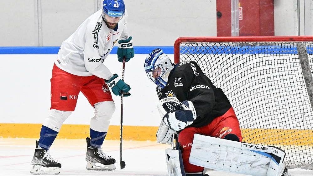Kaut reprezentuje i bez smlouvy v NHL. Chce zaujmout San Jose, variantou jsou také Pardubice