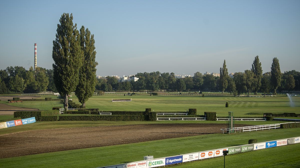 Velkou pardubickou poběží dva poslední vítězové, favoritem je ale Sacamiro