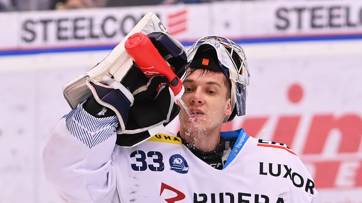 ONLINE: Video momenty ze zápasu Vítkovice - Plzeň