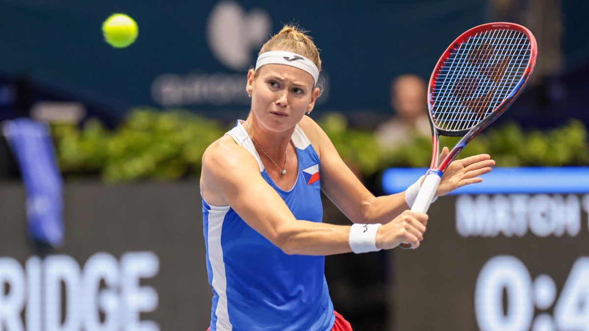 Bouzková ukončila po čtyřech měsících spolupráci s wimbledonskou vítězkou Martínezovou