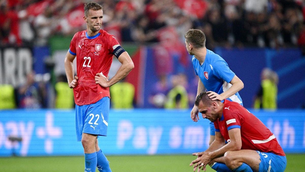 Máme nakročeno k lepší budoucnosti, věří expert. Hašek si hýčkal devět Lvíčat
