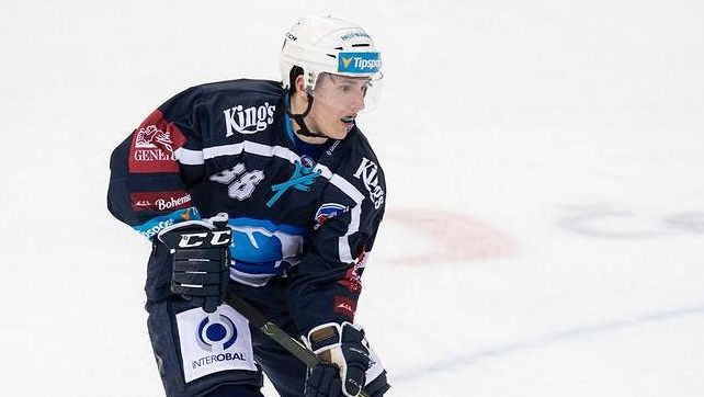 Kodýtek z Plzně, Stránský z Litvínova a brankář Hamrla posilují finský Tampere