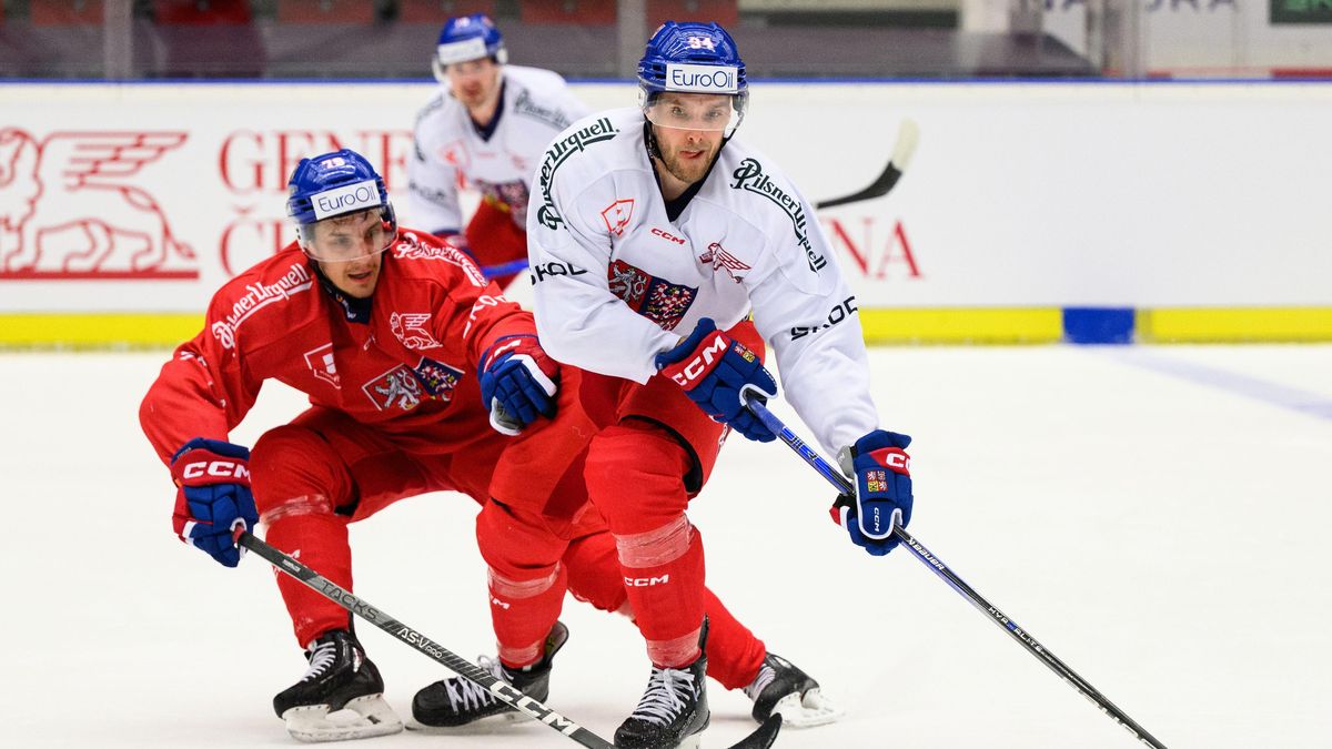 České Budějovice posílili reprezentant Ondřej Kovařčík a obránce Bukač