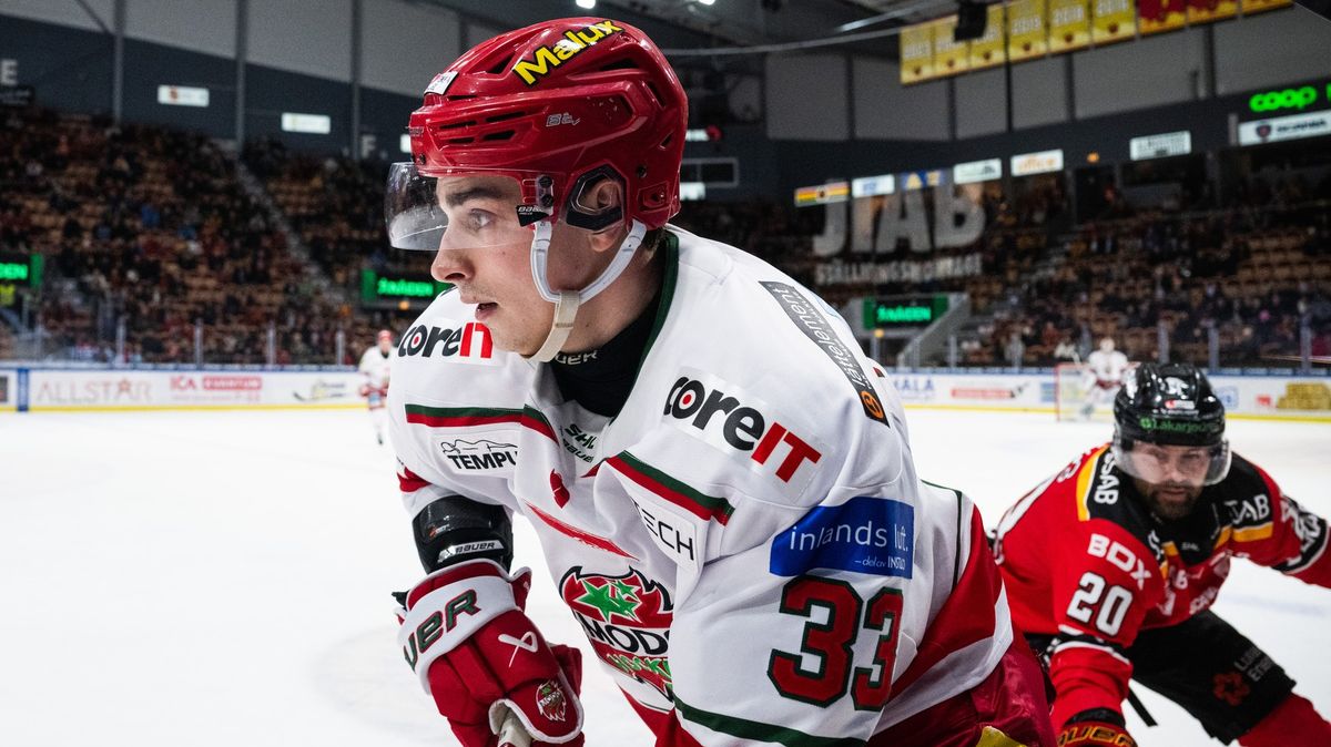 Důraz na brankovišti i podpora útoku. Do Plzně přichází lotyšský bek, který nakoukl i do NHL