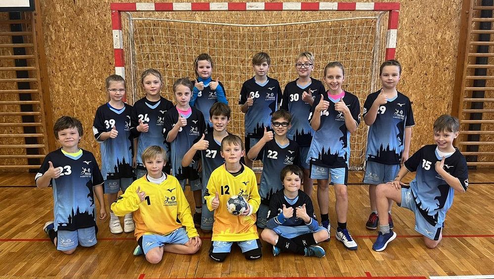 Energie dál drtí sport. Jedna z největších házenkářských bašt na pokraji zániku