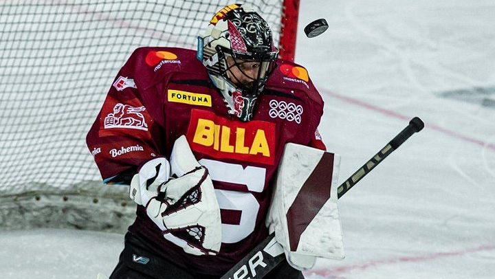Hradec už si vyhlédl náhradu za Bartošáka. Slovenský gólman přitom snil o návratu do KHL