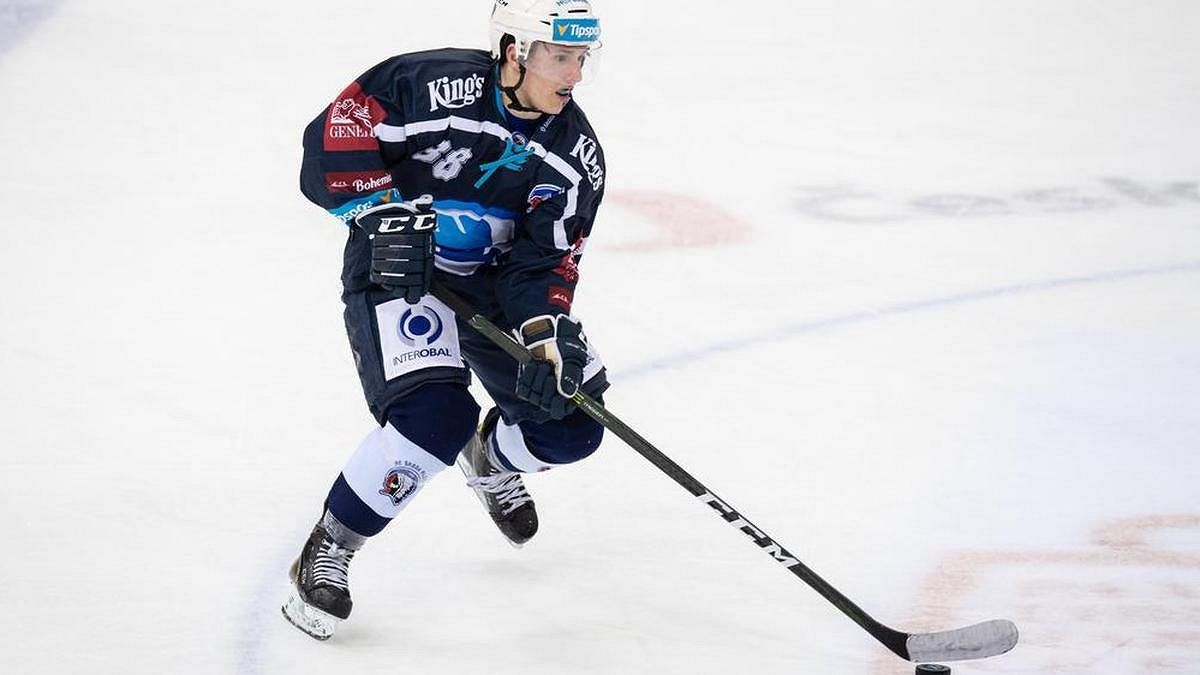 Plzeňský manažer promluvil o výběru posil: Za hráči už nelétáme