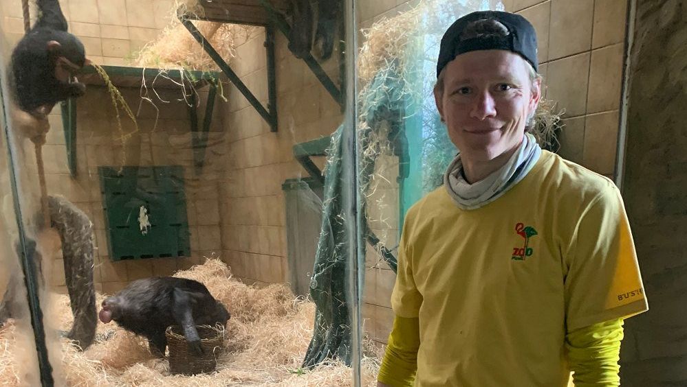 Jak hrál nároďák, mi řeknou kolegové. Bývalý útočník Plzně skončil v zoo