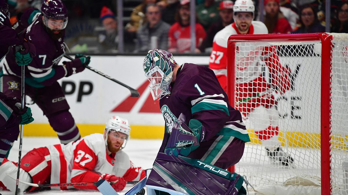 Dostál se divil, Gudas trpěl. Anaheim potopilo video