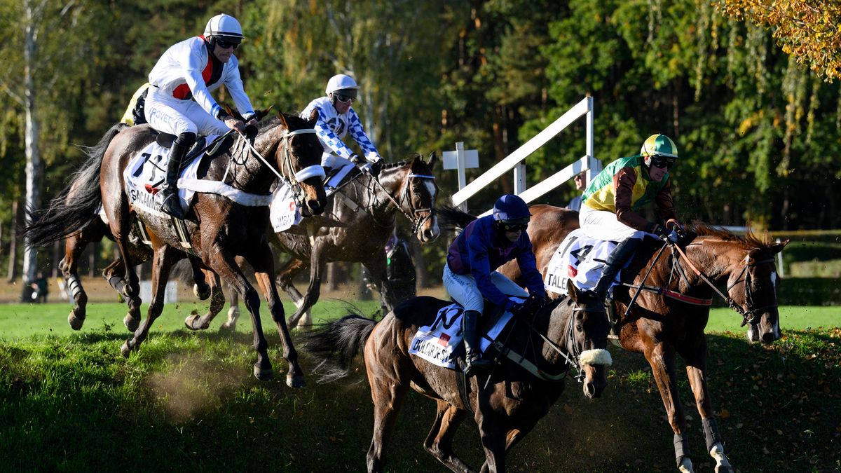 V Pardubicích bude letos deset dostihových mítinků, pořadatel snížil startovné