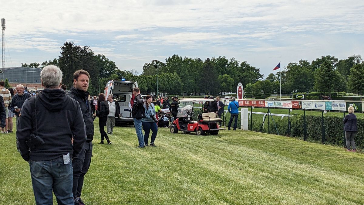 Drama v Pardubicích. Volný kůň vběhl mezi diváky a trefil chlapce do hlavy