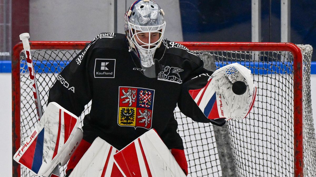 Dostál má za sebou v NHL přelomovou sezonu. Odchovanec Komety cítí v Brně nostalgii
