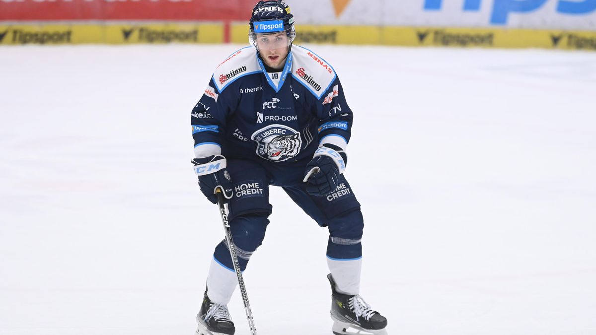 ONLINE: Video momenty z utkání Plzeň - Liberec