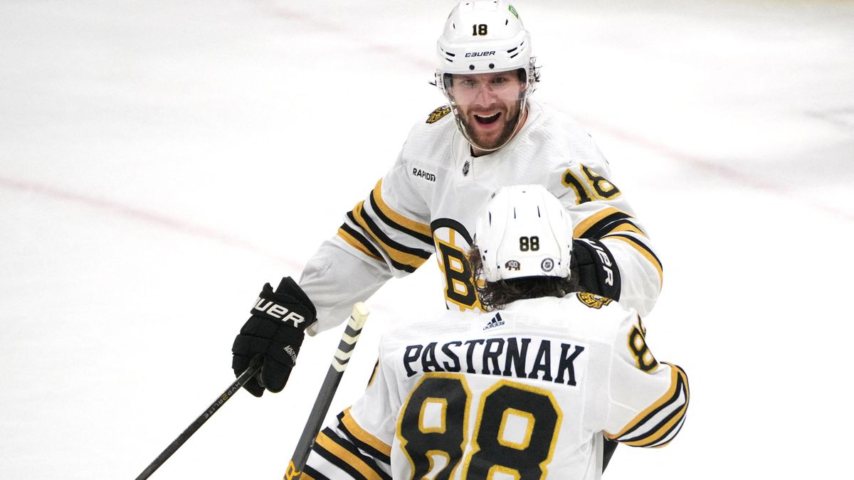 Skvělý Pastrňák dotáhl Boston k výhře, zazářil i Mrázek