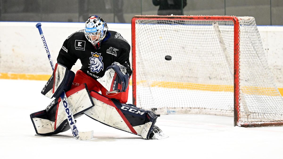 Stezka do Brna? Spekulace padly, finalista AHL zůstává v zámoří