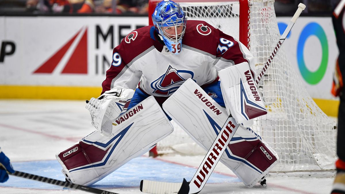 Brankář Francouz končí sezonu v NHL a jede se léčit do Česka