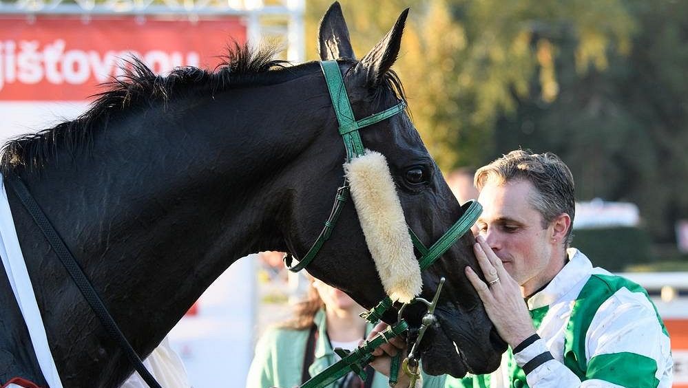Přehlídka čtyřnohých šampionů. Triumfy z Velké pardubické si připomenou jezdci i trenéři
