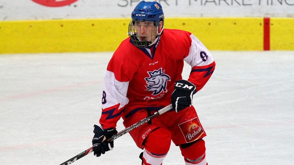 Prošel všemi mládežnickými reprezentacemi, už v 21 letech ale musí skončit s hokejem