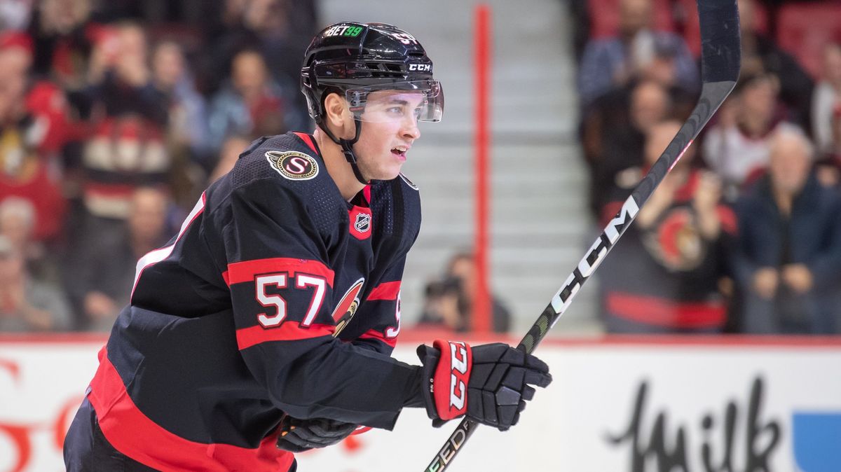 Nemilosrdný trest pro Kubalíkova spoluhráče: NHL ho suspendovala na 41 zápasů!