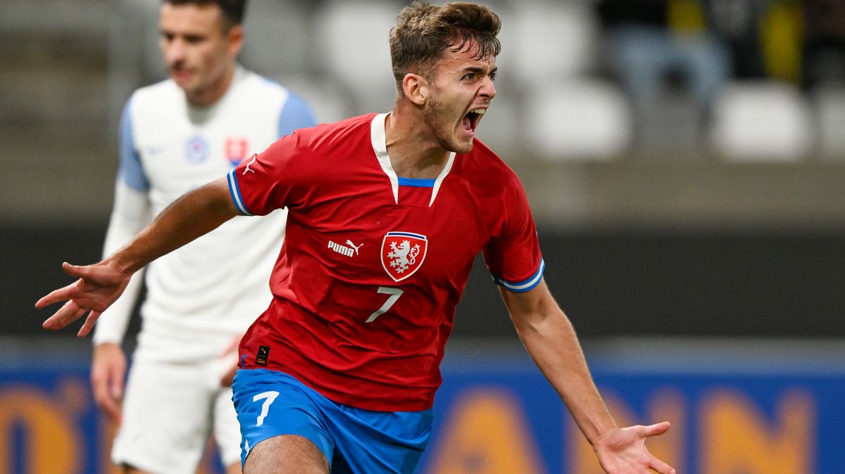 Lvíčata zakončila rok výhrou. Přátelák se Slovenskem rozhodli útočníci