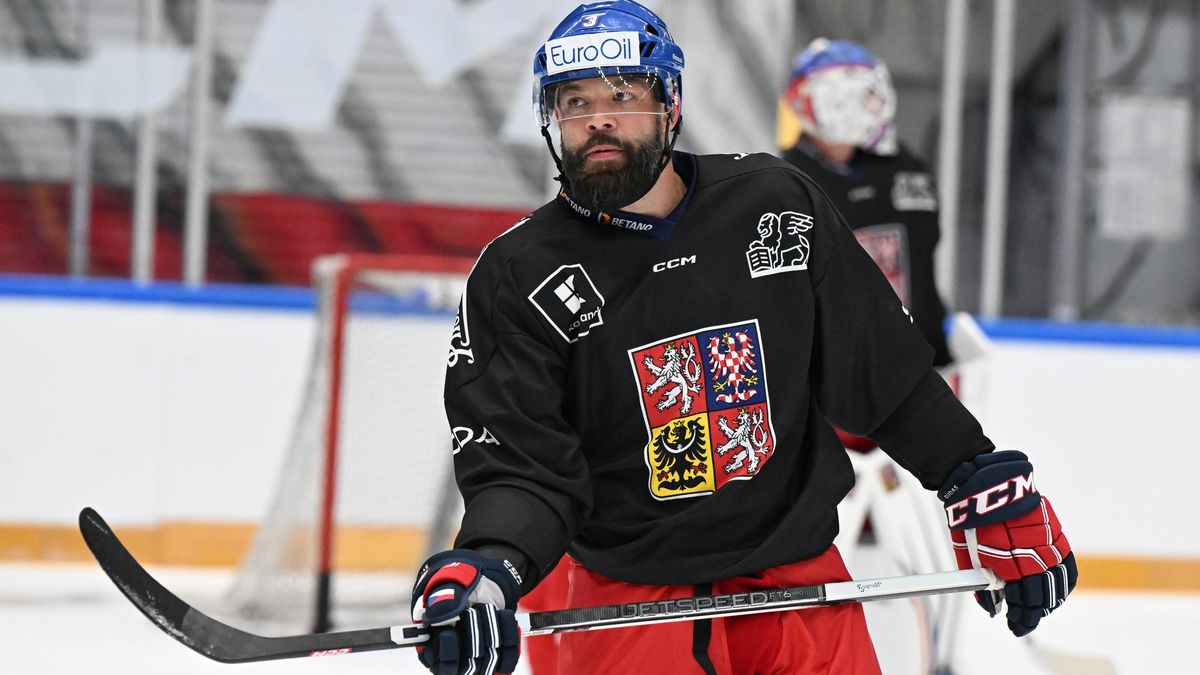 Jedenáct jmen, hvězdného lesku málo. České posily z NHL nezažily výjimečné sezony