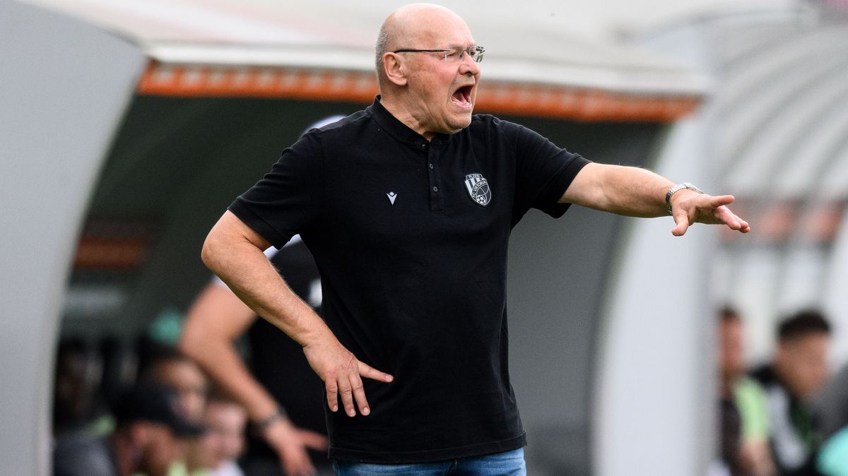 Plzeň si chce Koubka nechat. Zkušený kouč zatím váhá
