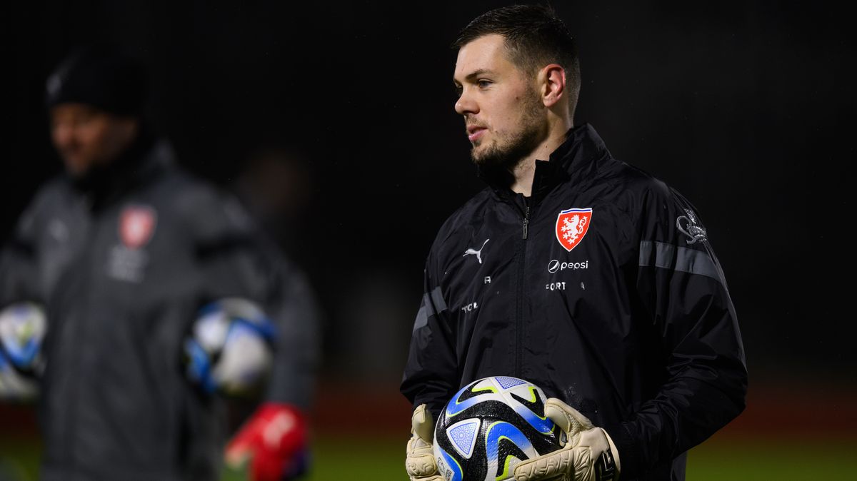 Staněk nebo Mandous. Reprezentace řeší před Polskem otazník v brance