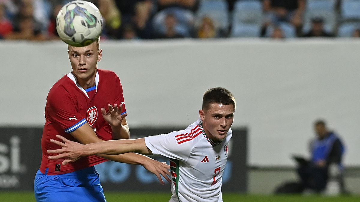 Tlak sílí, Lvíčata potřebují první výhru. Před osudovou bitvou se relaxovalo na hokeji