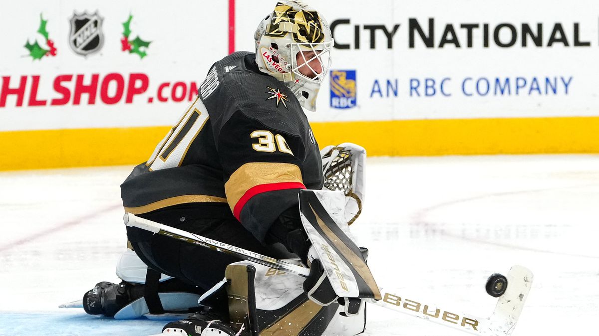 Český brankář je v NHL dále stoprocentní!