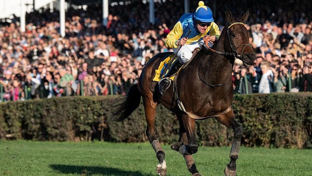 Třetí kvalifikace na Velkou pardubickou se blíží. Ukáže se Talent či Sacamiro?