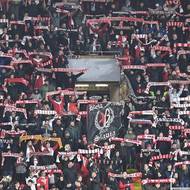 Fanoušci Slavie v zápase proti Českým Budějovicím. 