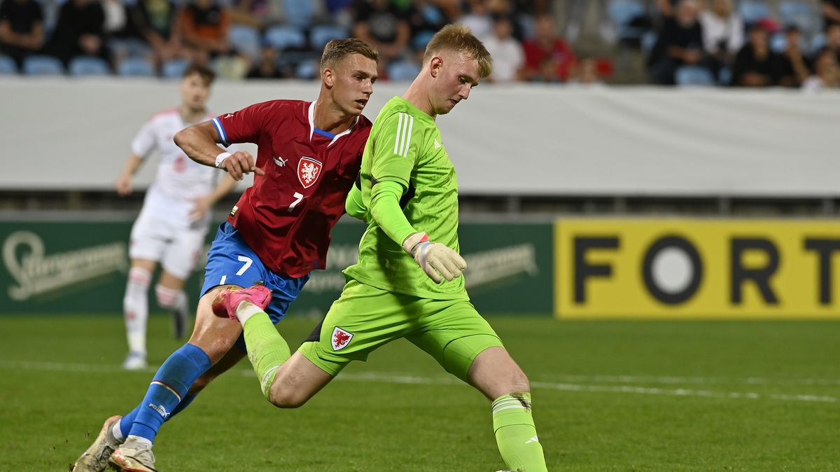 Dva tréninky, focení a návštěva ze Sparty. Lvíčata zapomínala na další malér