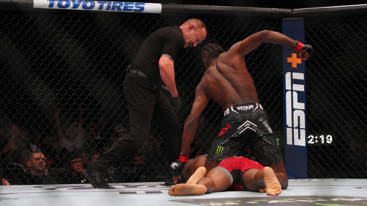 Rozhodčí v UFC terčem kritiky. Zápas měl zastavit pozdě, odborníci v ráži