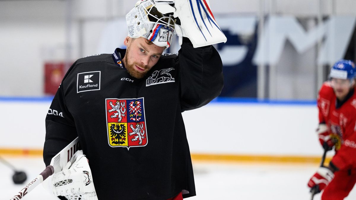 Do přípravy reprezentace se zapojí pět posil ze zámoří