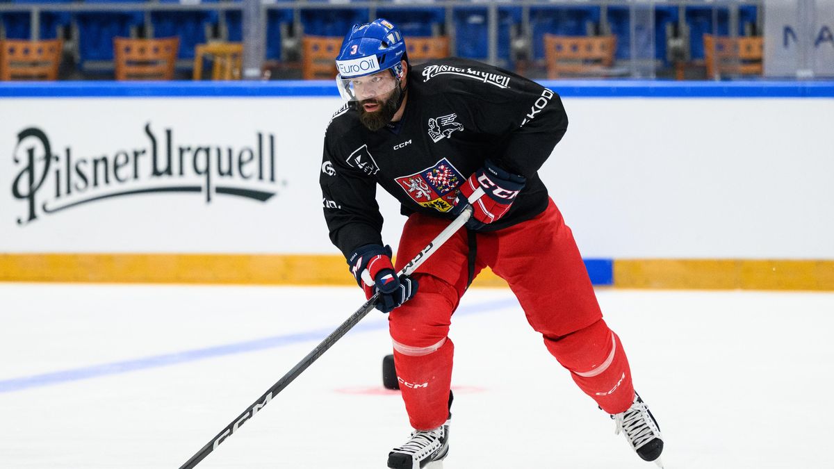 Gudas o roli mentora v NHL: Je zadostiučinění, že můj názor má ještě smysl