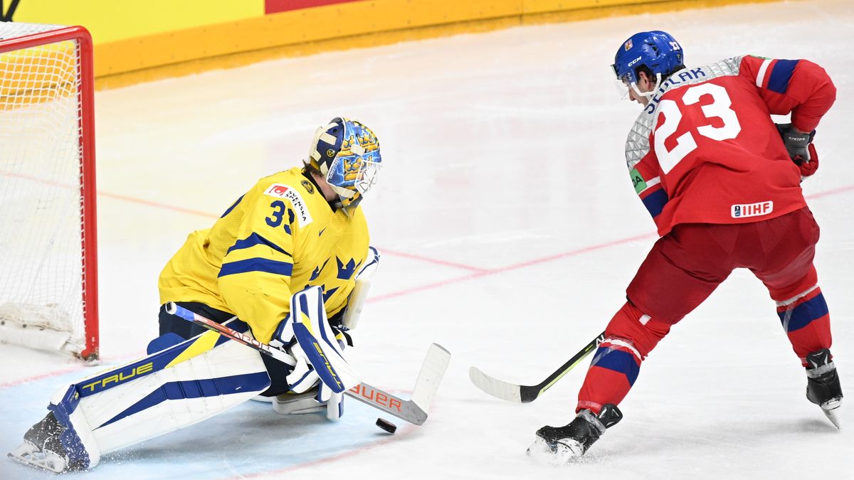 Švédové mají v kádru pro Karjalu čtyři nováčky a medailistu z MS v Praze