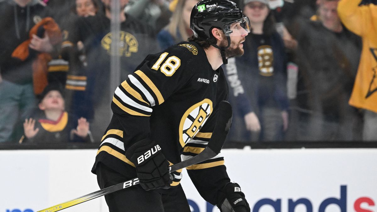 Zacha byl v NHL vyhlášen druhou hvězdou uplynulého týdne