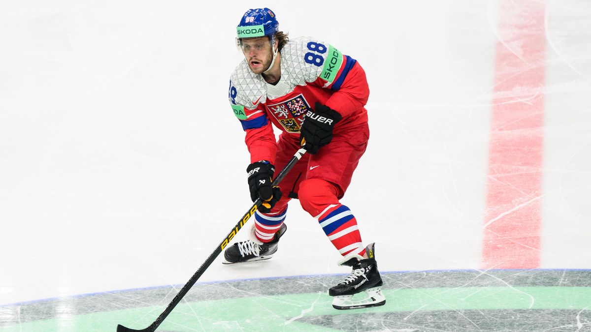 Hvězdný Pastrňák se připojil k reprezentaci