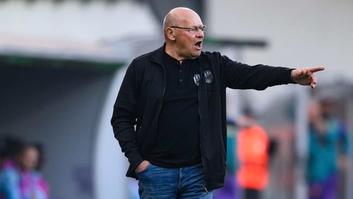 Plzeň nezklamala. Kdyby šla víc do rizika, nemuselo by to dobře dopadnout, říká expert