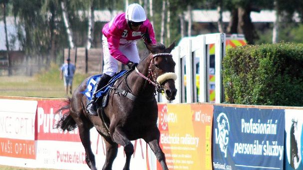 Váňův kůň vyhrál kvalifikaci, žokej ho ale nevidí jako vhodného pro Velkou pardubickou