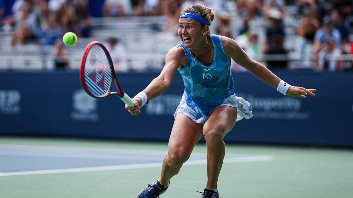 Bouzková postoupila ve Washingtonu do čtvrtfinále