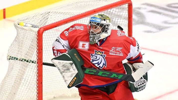 HOKEJ ONLINE: Příprava před MS. Češi nastoupí proti Slovensku