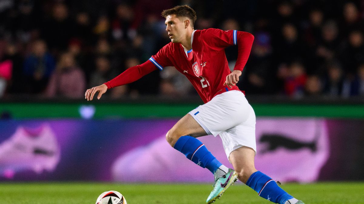 Muž přes palubu. V Hoffenheimu se ale nakonec prosadí, věří agent Hranáče