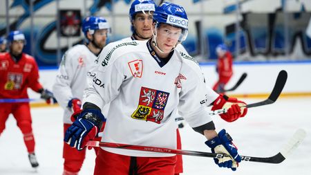 Devils gratulovali Palátovi se špatnou vlajkou
